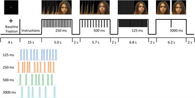 Dynamic Effective Connectivity Patterns During Rapid Face Stimuli Presentation in Body Dysmorphic Disorder